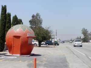 ca california orange stands image