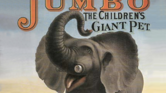 Jumbo the Elephant