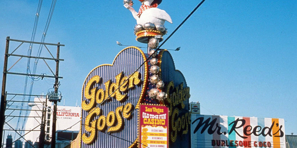 Golden-Goose