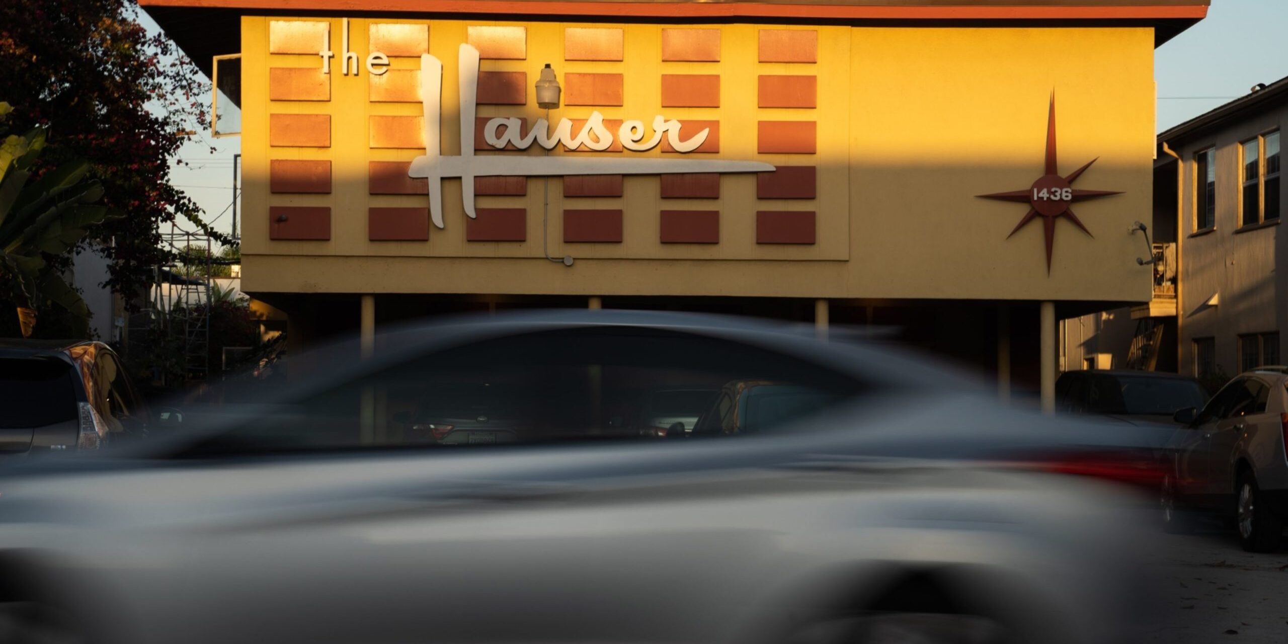 The_Hauser_California_Dingbat The_Hauser_California_Dingbat