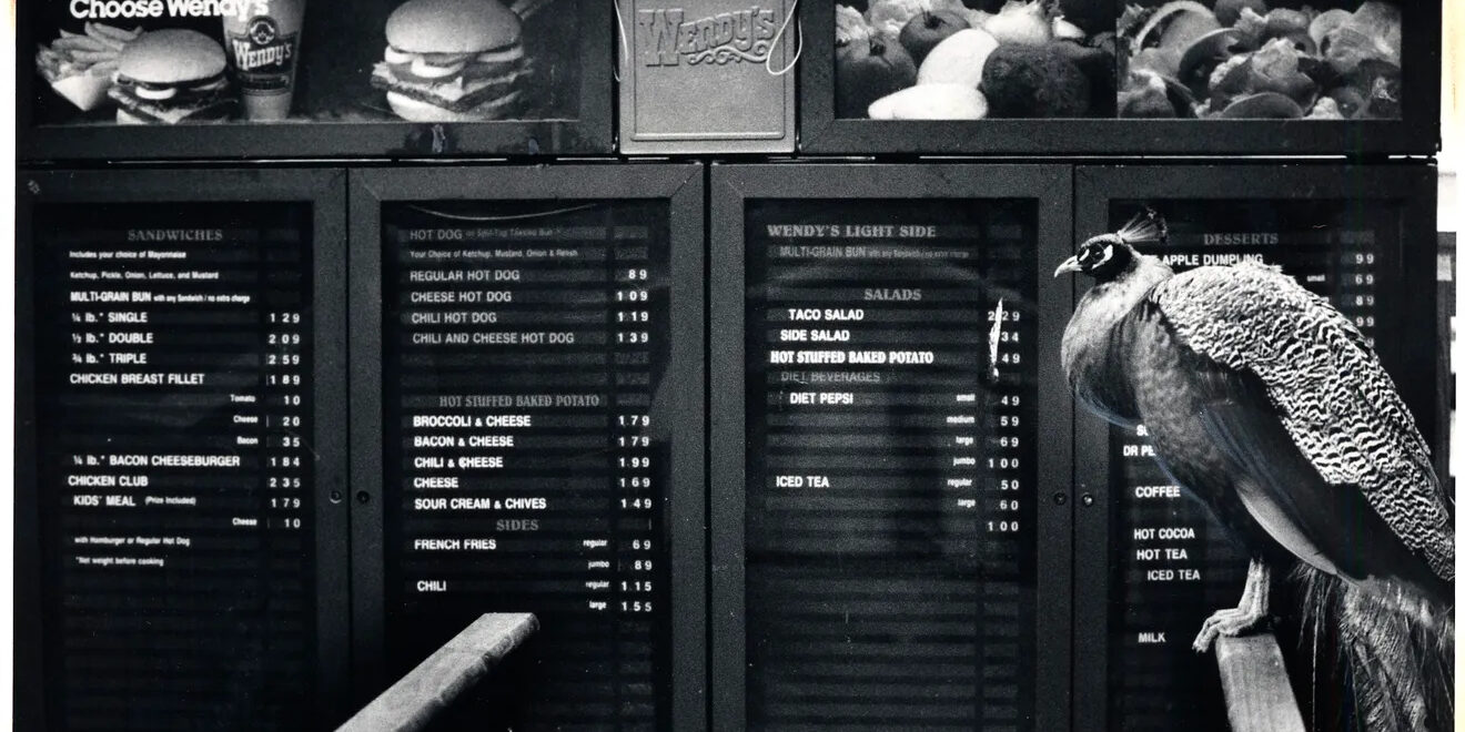 Wendys-Columbus-Zoo Wendys-Columbus-Zoo