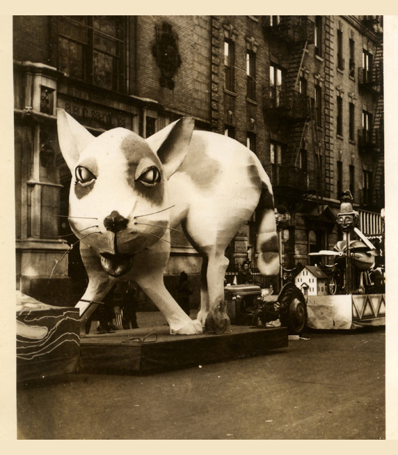 Macy's Parade Cat