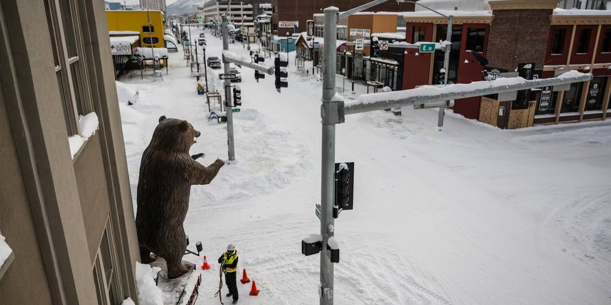 Anchorage_Grizzly_Bear Anchorage_Grizzly_Bear