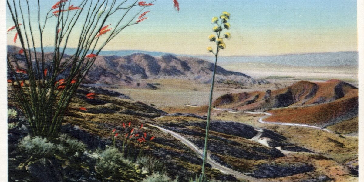 Pine-to-Palms Highway Postcard