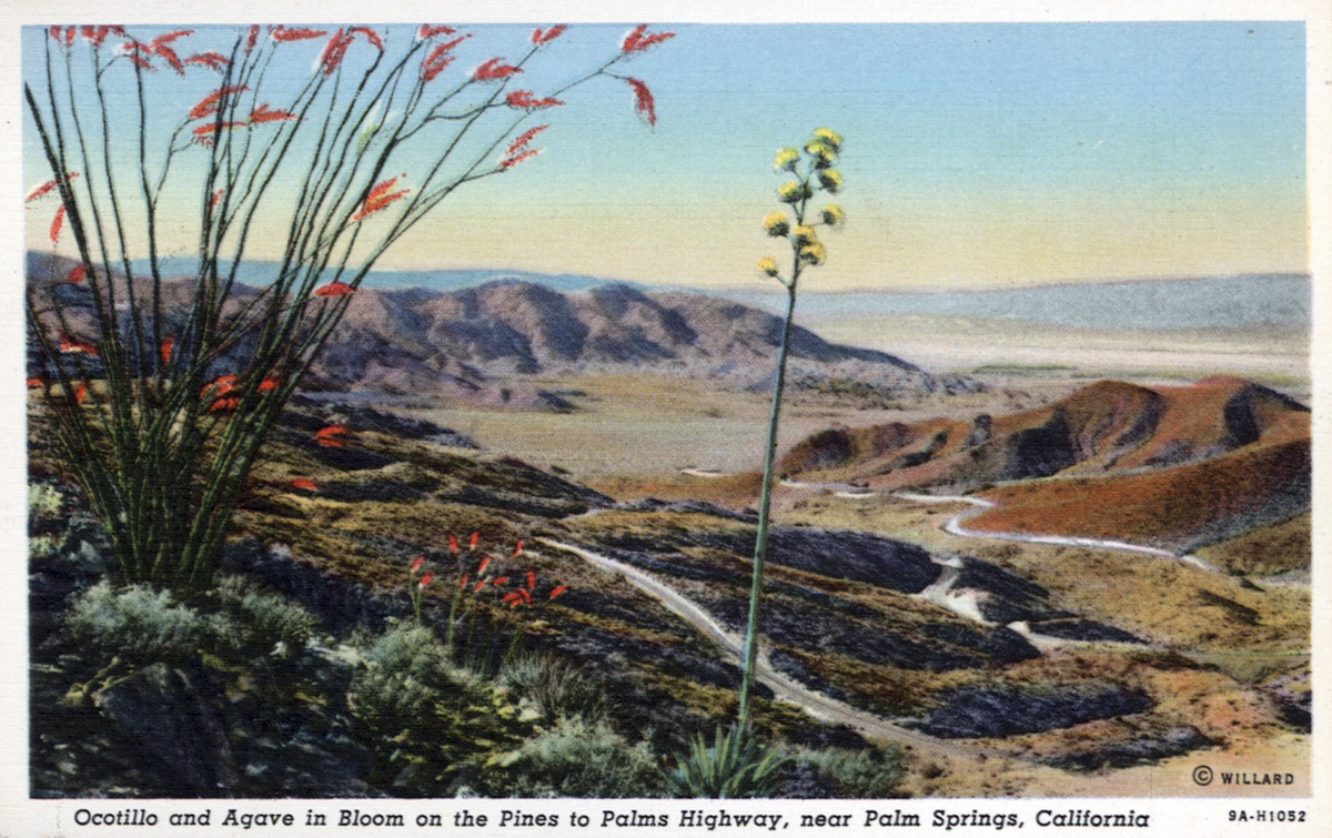 Pine-to-Palms Highway Postcard