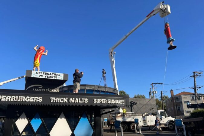 SuperDog_Figures_Removal_Chicago