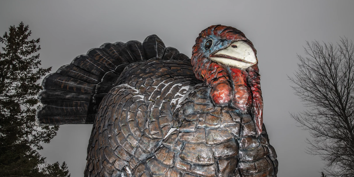 Giant_Turkey_Frazee_Minnesota