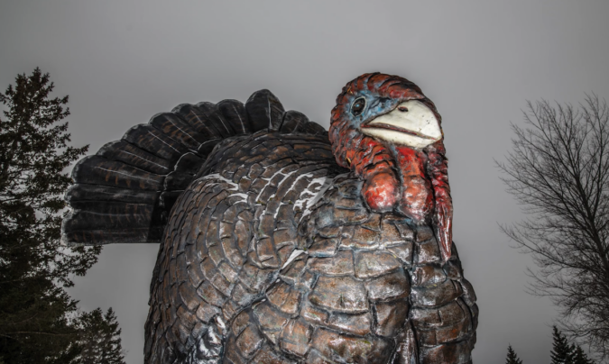 Giant_Turkey_Frazee_Minnesota