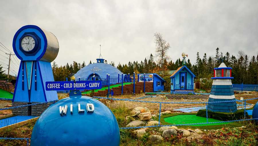 Wild_Blueberry_Land_Columbia_Falls_ME